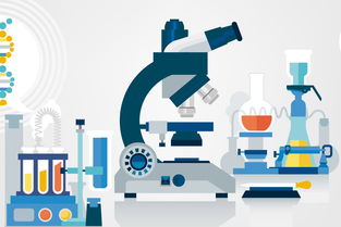 黑坑釣魚(yú)小藥自制全攻略 因地制宜調(diào)配，精準(zhǔn)應(yīng)對(duì)不同魚(yú)情